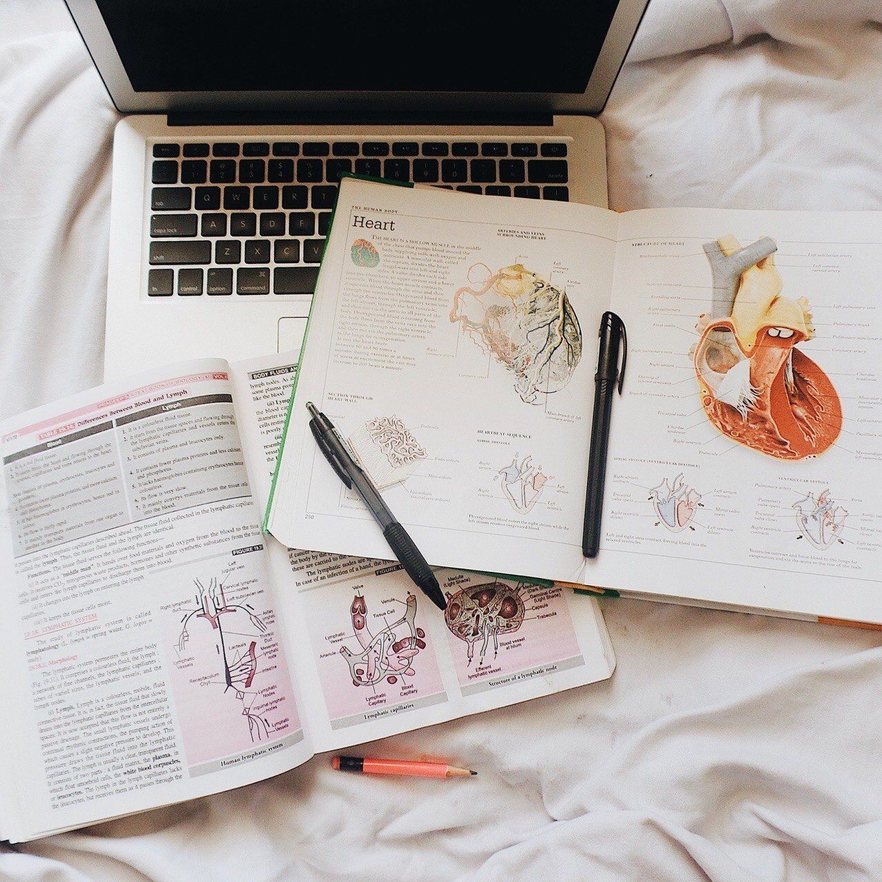 Study Abroad 1